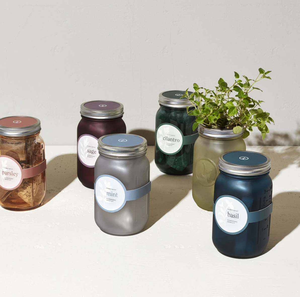 Modern Sprout Garden Jar (Mint)