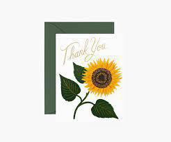 Boxed Set Thank You Cards